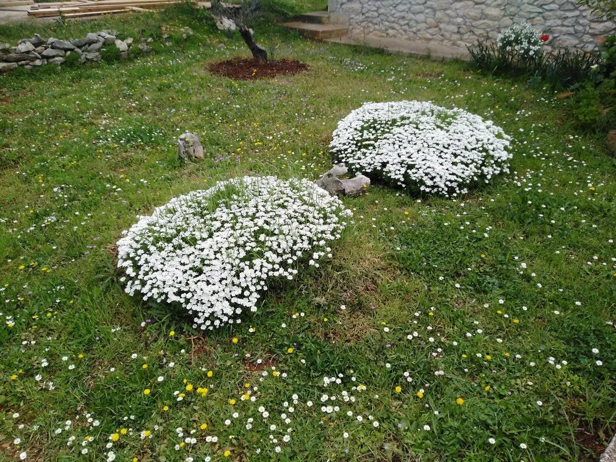 Apartament Apartman Tiziana Zadar